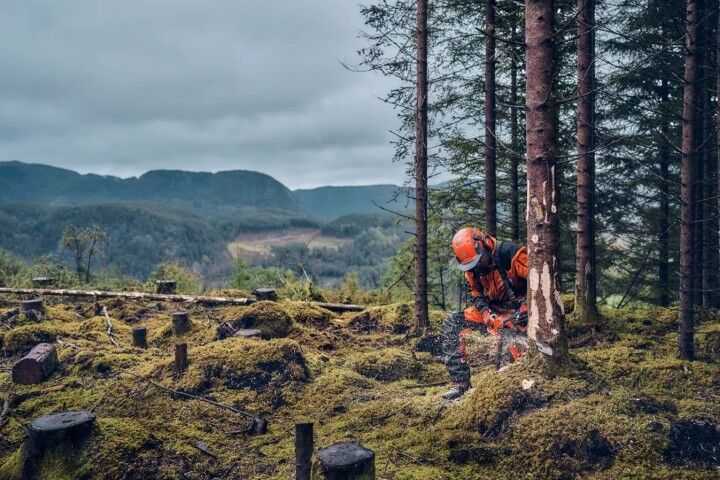 X-Cut S93G Chainsaw Chain Semi-Chisel, 3/8" Mini Pitch, .050 Gauge