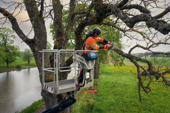 Husqvarna X-Cut S93G Semi-Chisel Saw Chain, 3/8 in. Mini Pitch, .050 in. Gauge, 52-DL, 14 in.