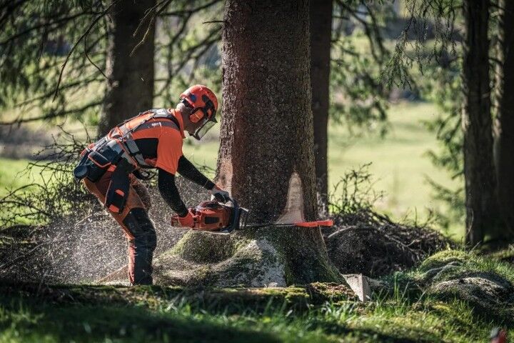 Husqvarna 8-In Felling Wedge