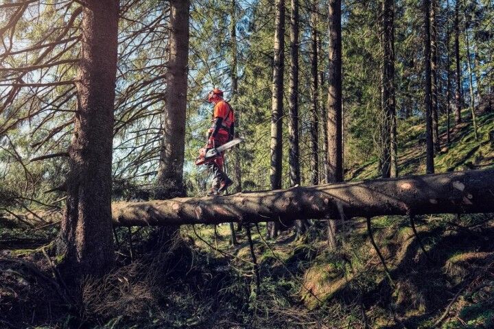 Husqvarna 572 XP 24-In Gas Chainsaw