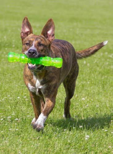 Dura-Squeaks - Stick - Large