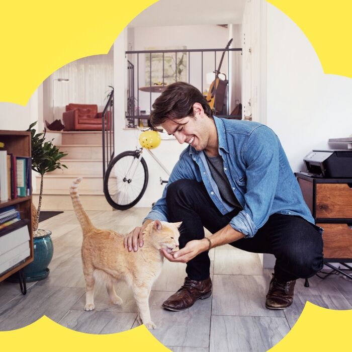 Temptations Tasty Chicken Flavor Crunchy And Soft Cat Treats, 3-Oz