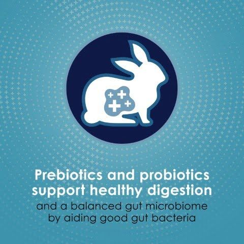 Kaytee Forti-Diet Pro Health Nourish+Protect Adult Rabbit Food, 5-Lb