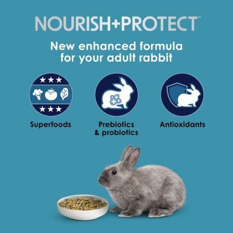 Kaytee Forti-Diet Pro Health Nourish+Protect Adult Rabbit Food, 5-Lb