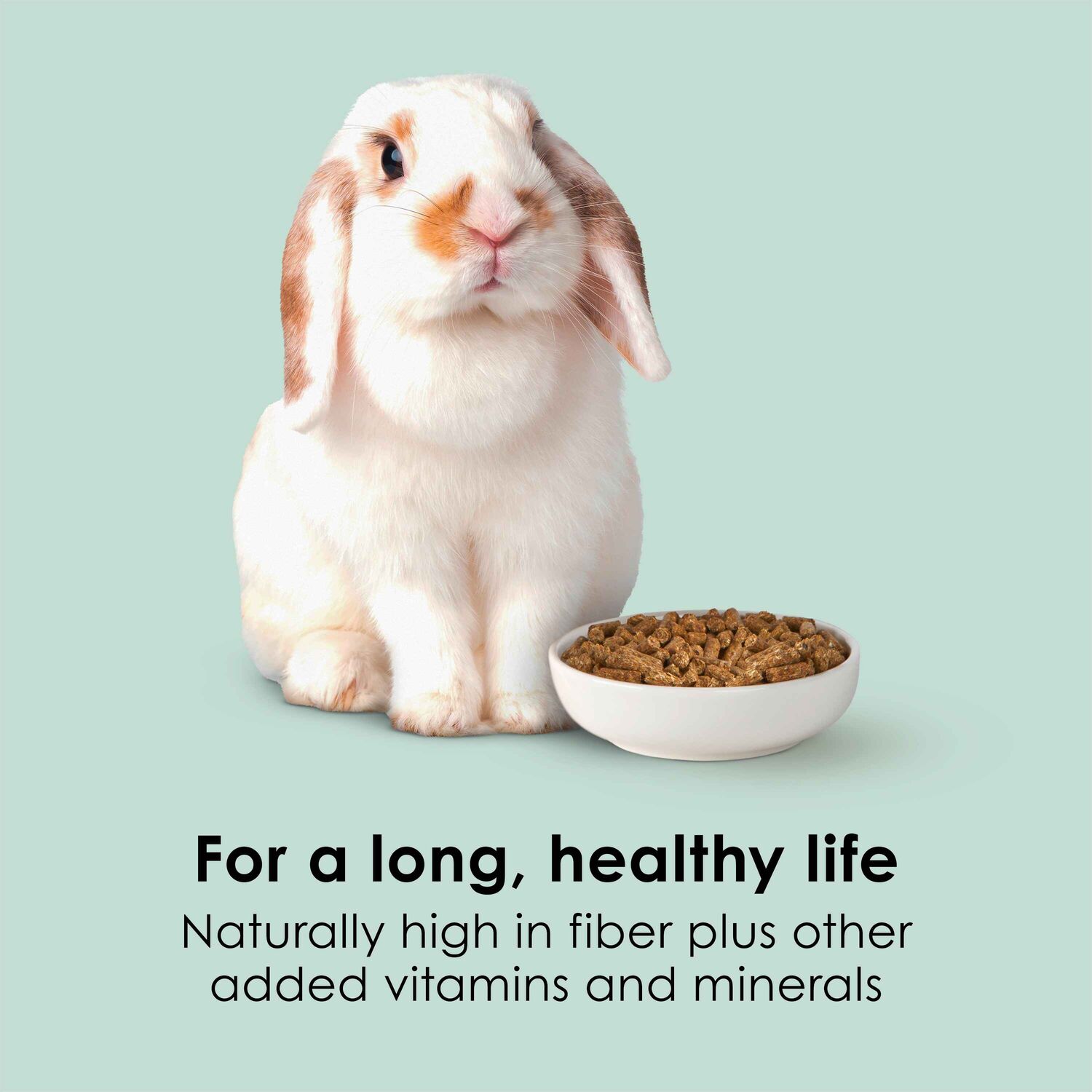 Kaytee Timothy Complete Rabbit Food, 4.5-Lb