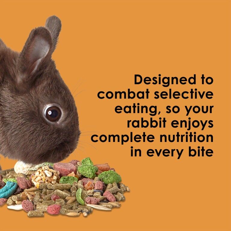 Kaytee Fiesta Rabbit Food, 6.5-Lb