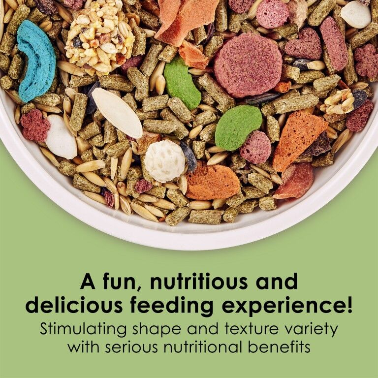 Kaytee Fiesta Rabbit Food, 6.5-Lb