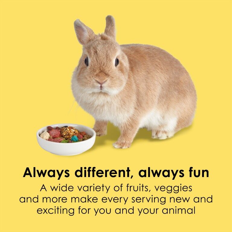 Kaytee Fiesta Rabbit Food, 6.5-Lb