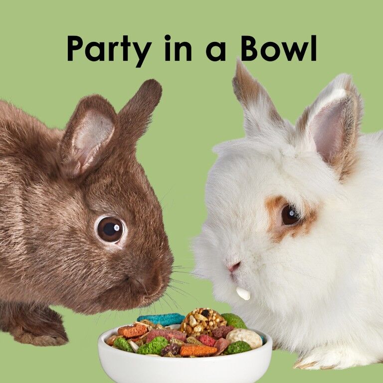 Kaytee Fiesta Rabbit Food, 6.5-Lb