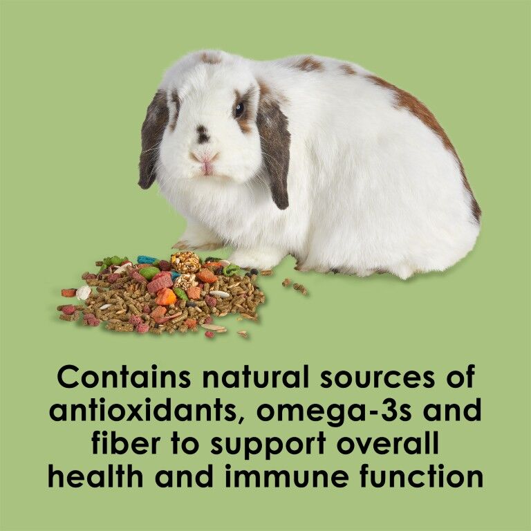 Kaytee Fiesta Rabbit Food, 6.5-Lb