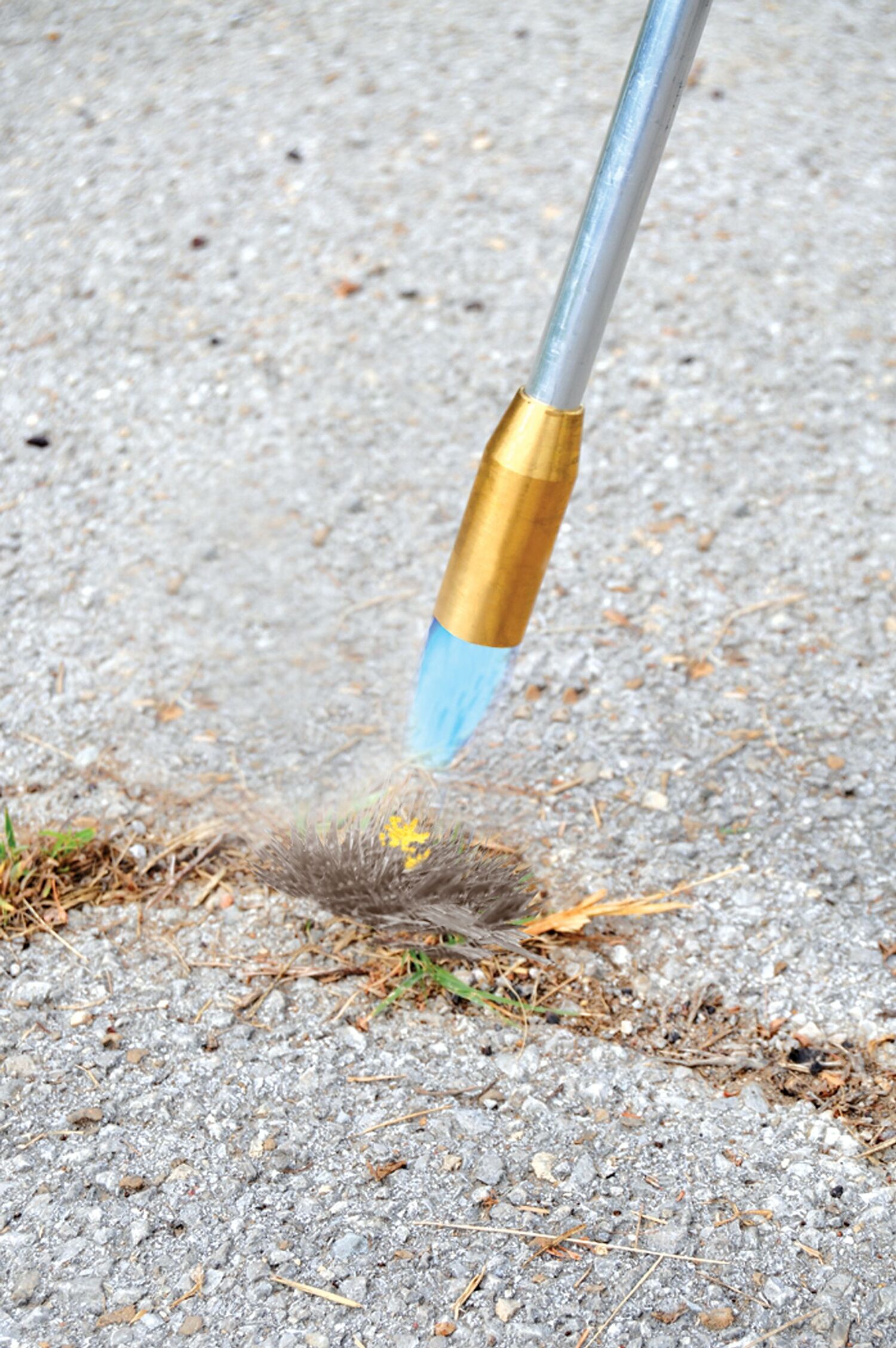 Self Lighting Garden Torch