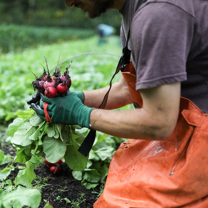 Kinco Polyester Knit Shell And Nitrile Palm Gloves 2-Pk in Dark Green