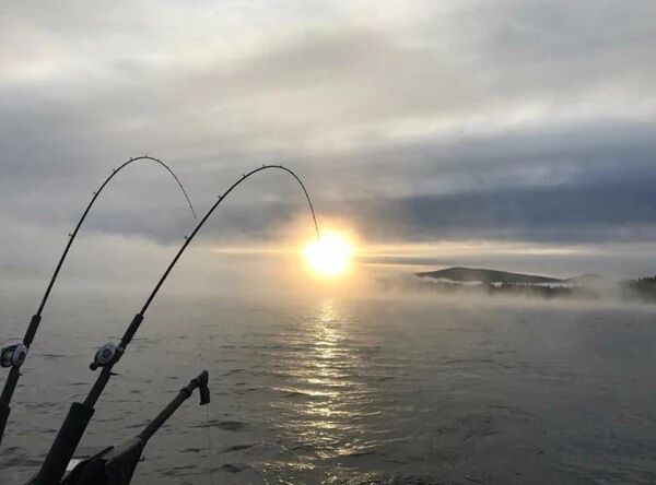 Lamiglas Red Trout & Kokanee Trolling Rod Ultra/Lt, 2-Piece, 7 1/2-Ft