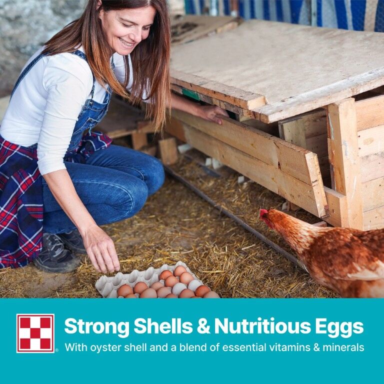 Purina Layena Crumbles 16% Layer Hen Feed, 10-Lb