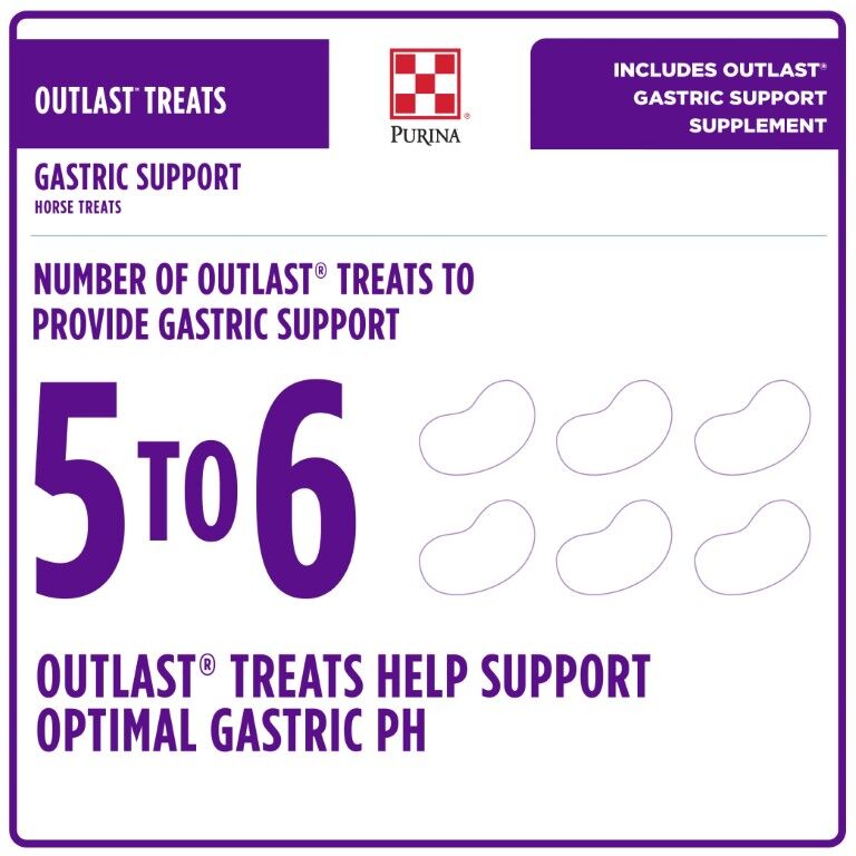 Purina Outlast Horse Treats, 3.5-Lb