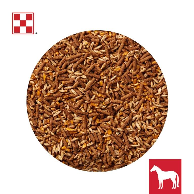Purina Omolene 100 Active Pleasure Horse Feed, 50-Lb
