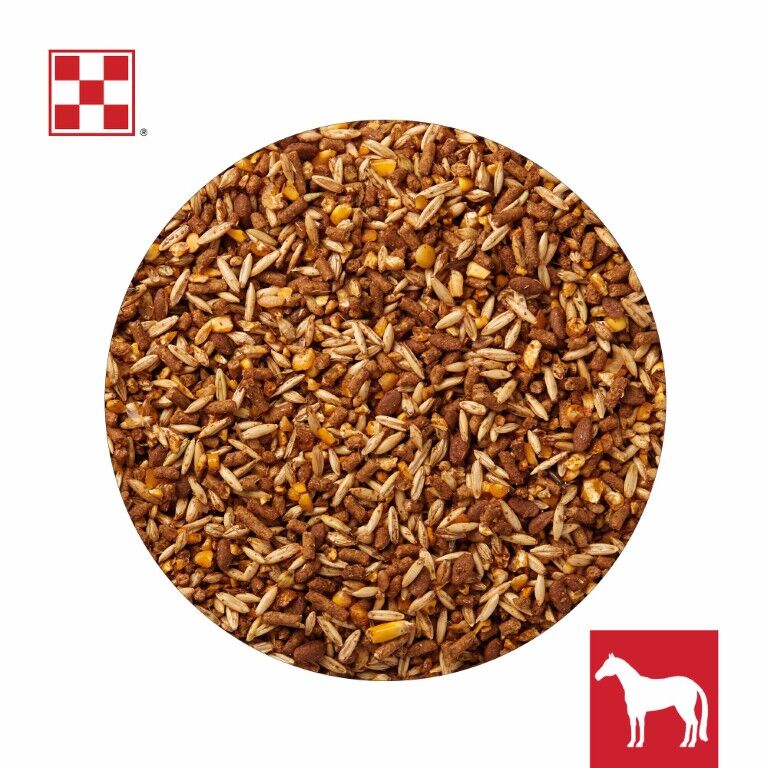 Purina Omolene 300 Mare & Foal Horse Feed, 50-Lb