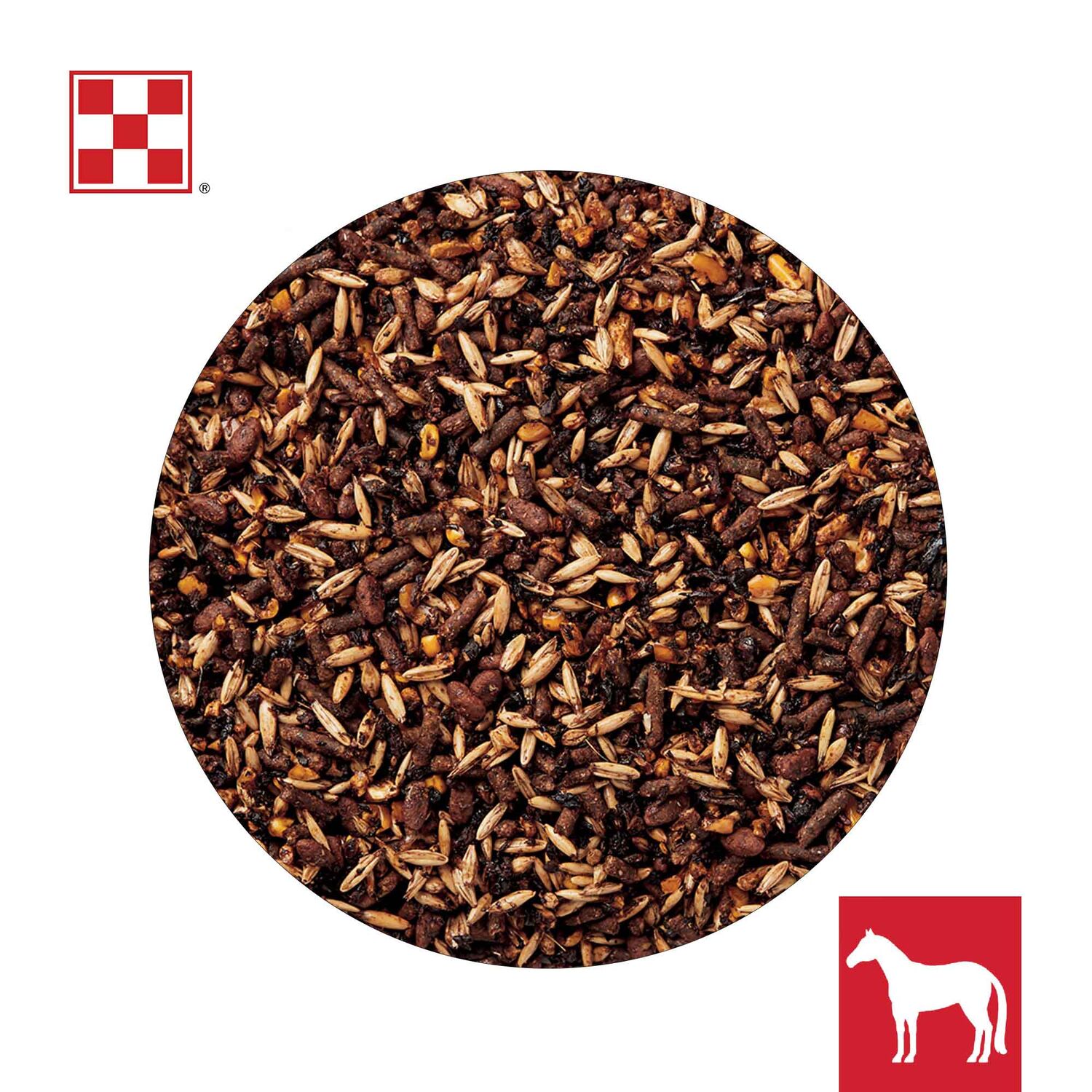 Purina Omolene 500 Competition Horse Feed, 50-Lb