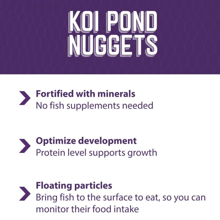 Mazuri Koi Pond Nuggets, 20-Lb