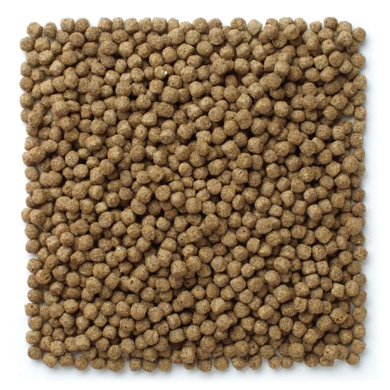 Mazuri Koi Pond Nuggets, 20-Lb