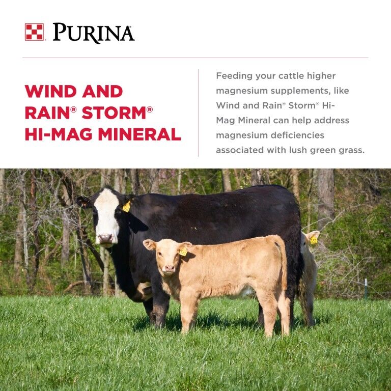 Purina Wind And Rain Storm Hi-Mag 4 Complete Cattle Mineral, 50-Lb