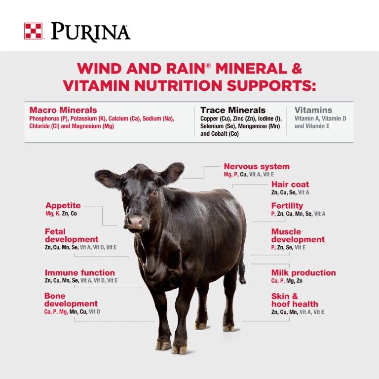 Purina Wind And Rain Storm Hi-Mag 4 Complete Cattle Mineral, 50-Lb
