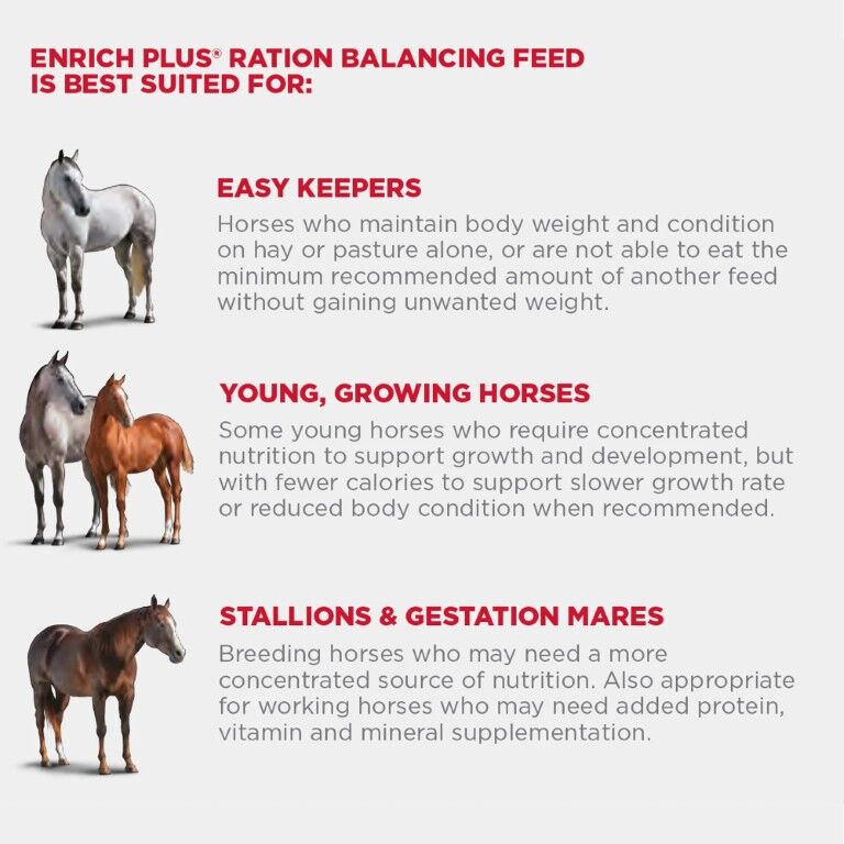 Purina Enrich Plus Ration Balancing Horse Feed, 50-Lb