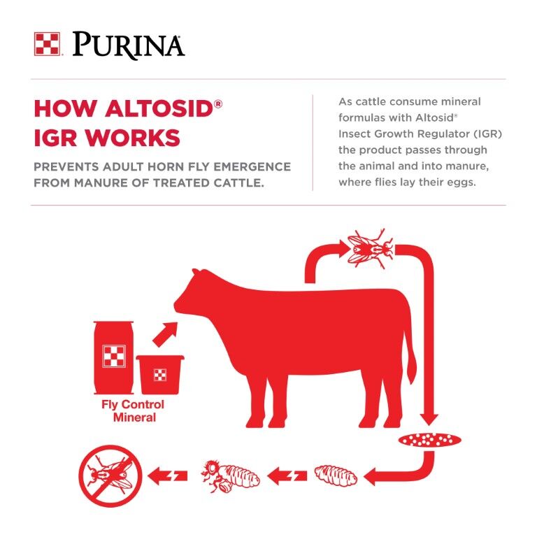 Purina Wind And Rain All Season 7.5 Complete Cattle Mineral With Altosid For Fly Control, 50-Lb