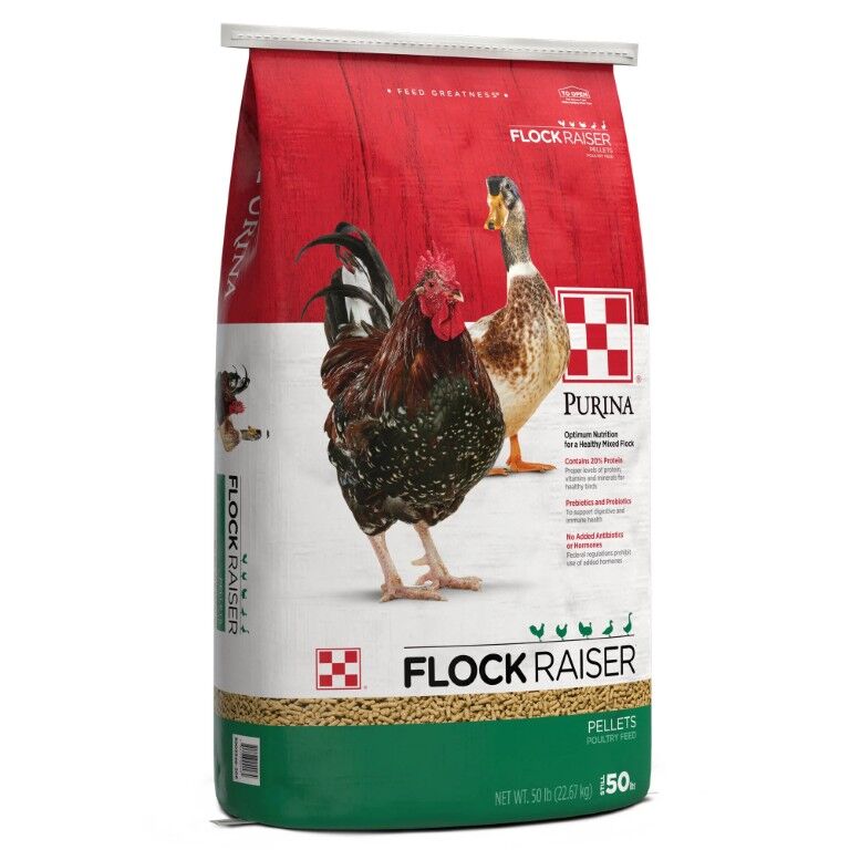 Purina Flock Raiser Pellets, 50-Lb