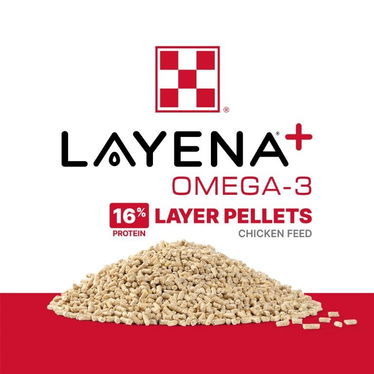 Purina Layena + Omega-3 16% Layer Hen Feed, 40-Lb
