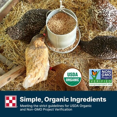 Purina Organic Layer Pellets Hen Feed, 35-Lb