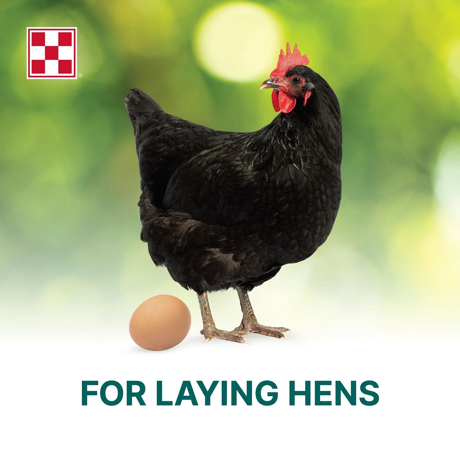 Purina Organic Layer Crumbles Hen Feed, 35-Lb