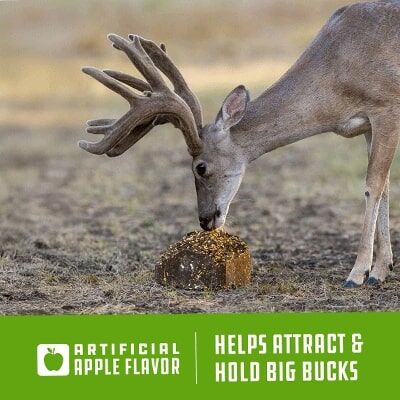 Purina Quickdraw Apple Deer Block, 20-Lb