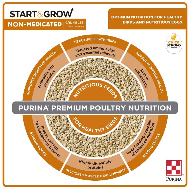 Purina Start & Grow Chick Feed Non-Medicated, 25-Lb