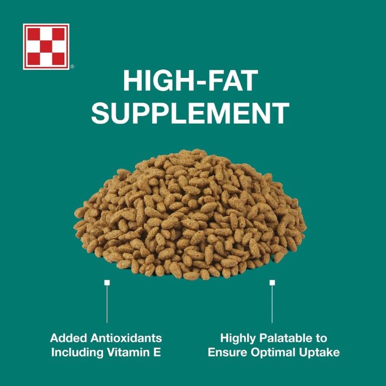 Purina Amplify High-Fat Horse Supplement, 50-Lb