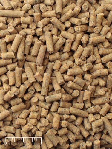 Mazuri Mini Pig Youth Feed, 25-Lb