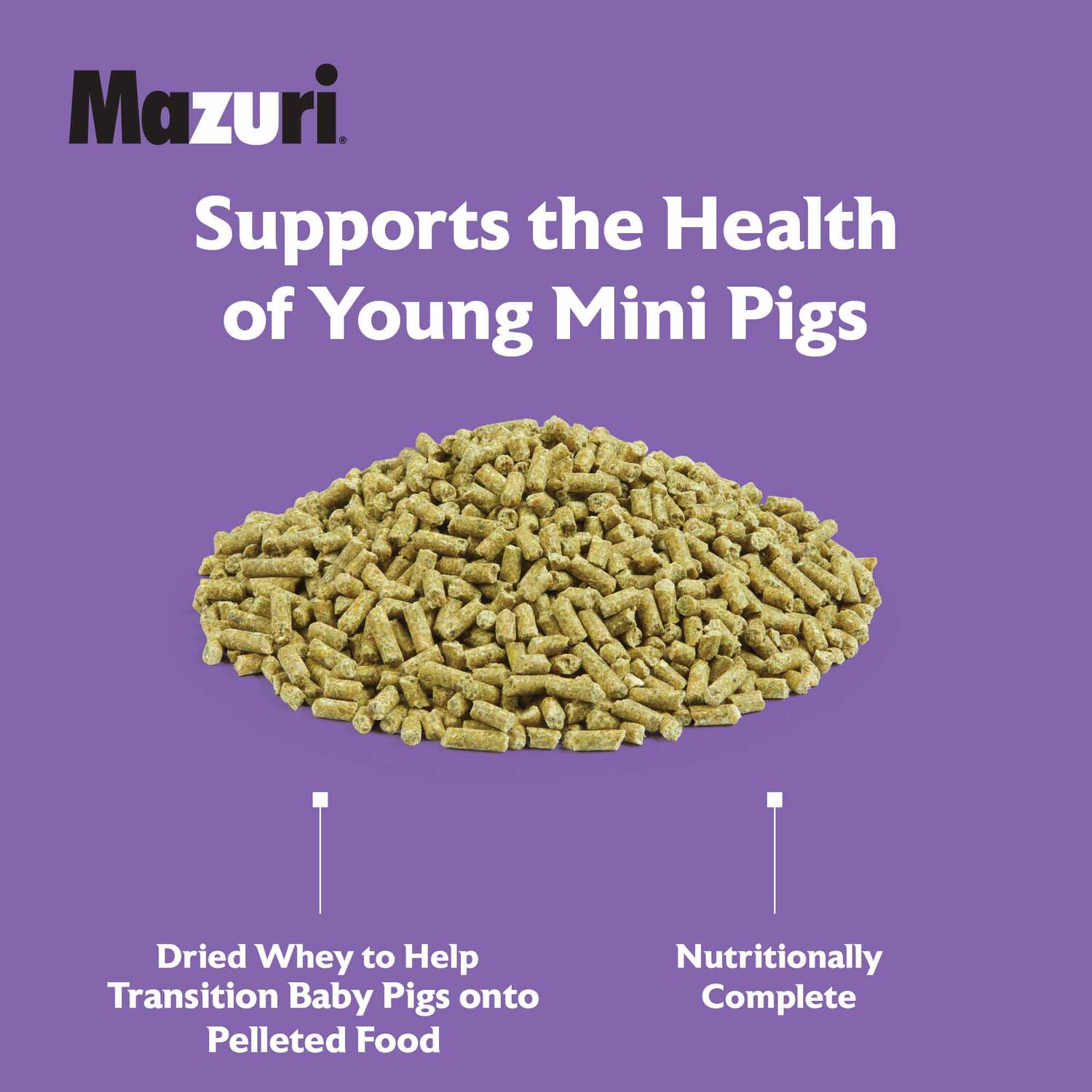 Mazuri Mini Pig Youth Feed, 25-Lb