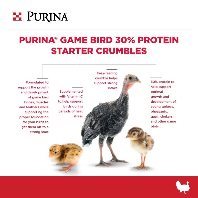 Purina Game Bird 30% Protein Starter Crumbles, 50-Lb