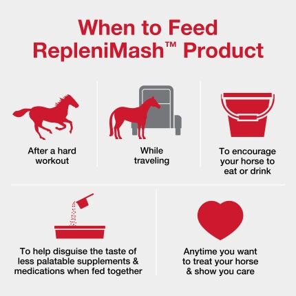 Purina RepleniMash Horse Mash, 25-Lb
