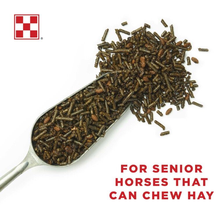 Purina Equine Senior Active Horse Feed, 50-Lb