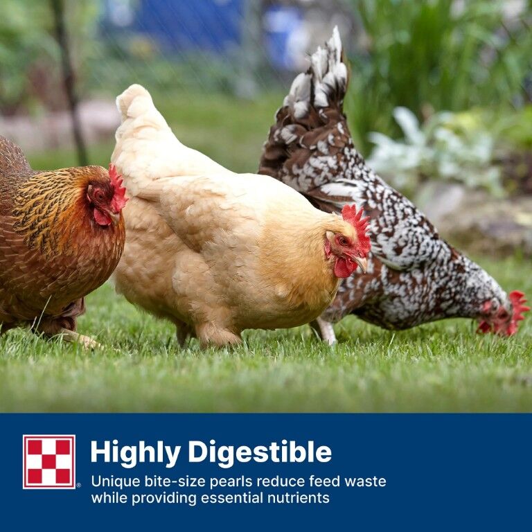 Purina Layena Pearls Layer Feed, 6-Lb