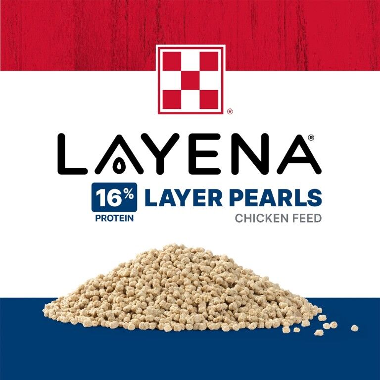 Purina Layena Pearls Layer Feed, 6-Lb