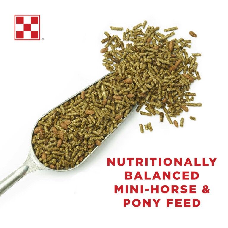 Purina Miniature Horse & Pony Feed, 50-Lb