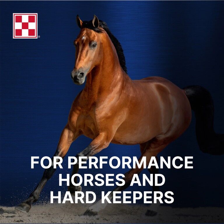 Purina Ultium Competition Horse Formula, 50-Lb