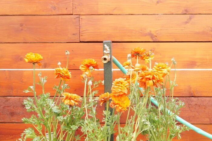 Yard Butler Garden Hose Bib Extender