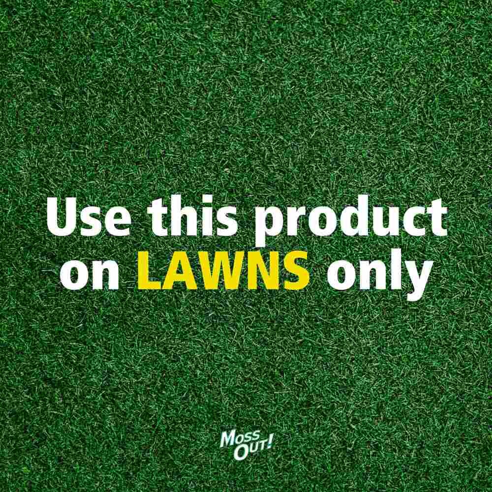 Moss Out! For Lawns Liquid, 1-Gal