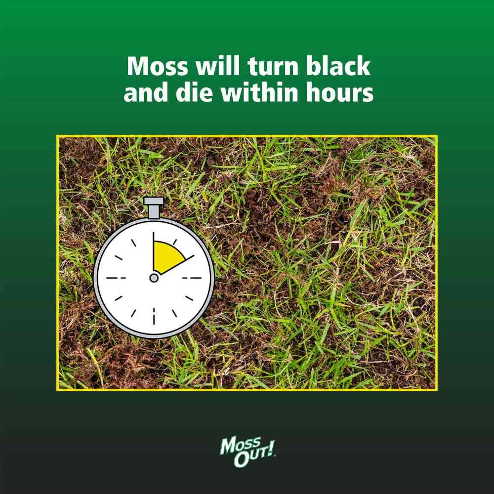 Moss Out! For Lawns Liquid, 1-Gal