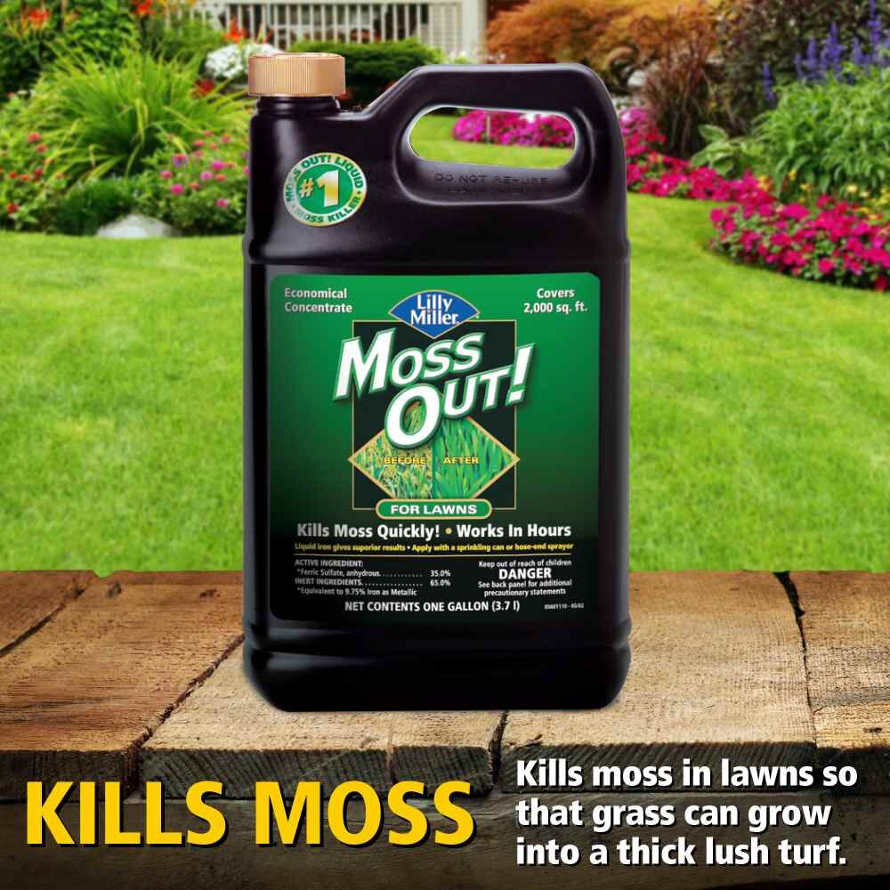 Moss Out! For Lawns Liquid, 1-Gal
