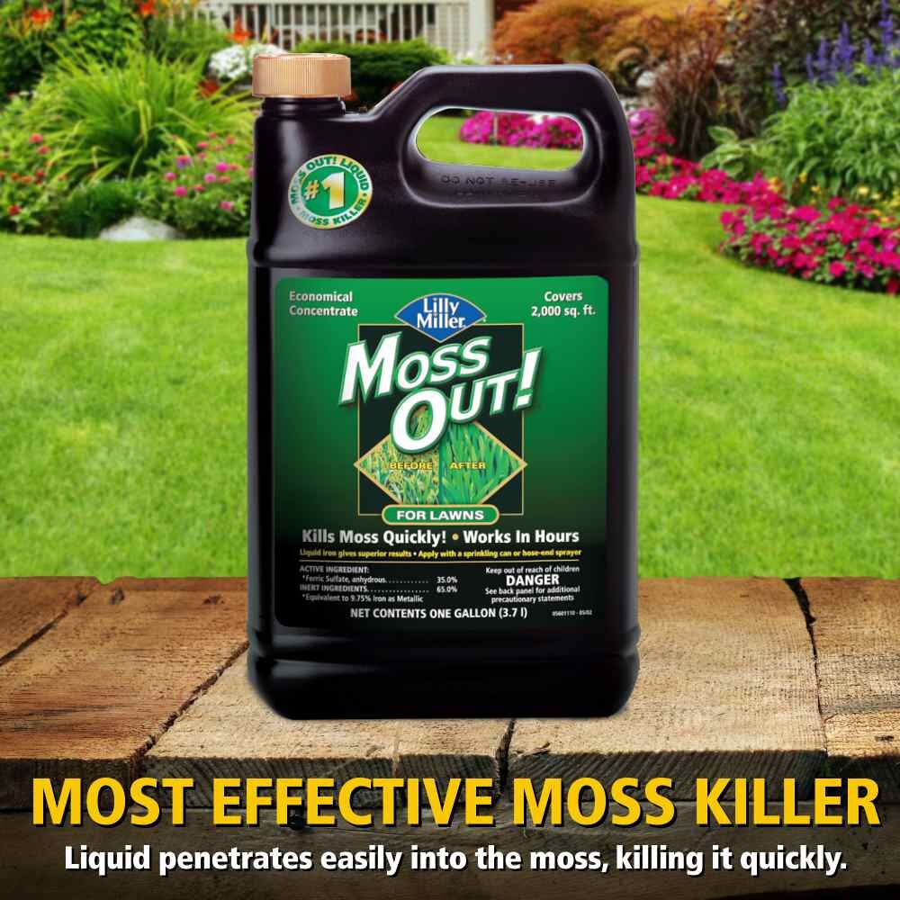 Moss Out! For Lawns Liquid, 1-Gal