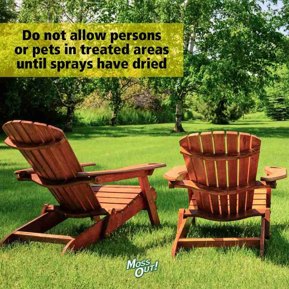 Moss Out! For Lawns Liquid, 1-Gal